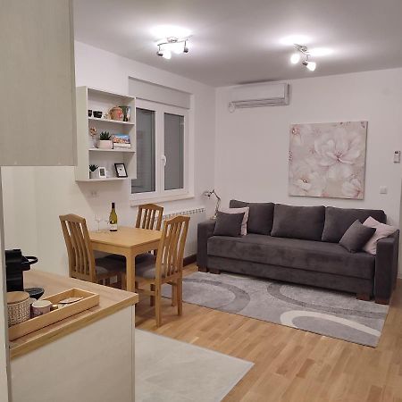 Morning Star Danica Apartment Surčin Екстериор снимка