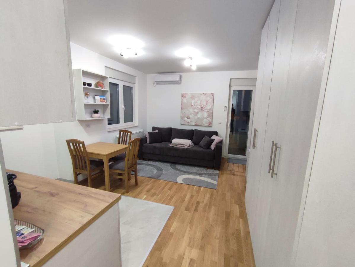 Morning Star Danica Apartment Surčin Екстериор снимка
